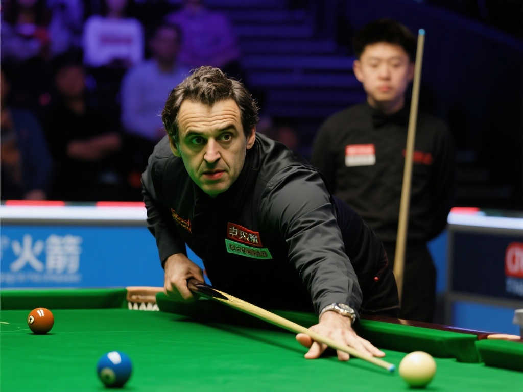 很大的借鉴 很大的借鉴