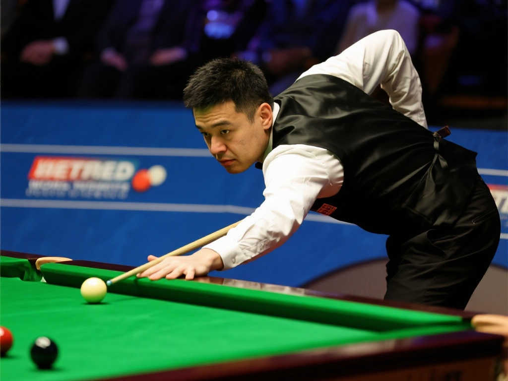 起了不小的 起了不小的